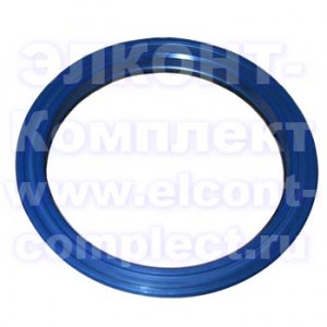 Манжета 100x120x13,5/LA  TS