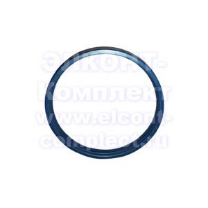 Манжета 090x100x6,3 TS Polypac